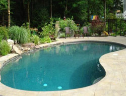 Bean Shaped Pool Manufacturer in Ludhiana