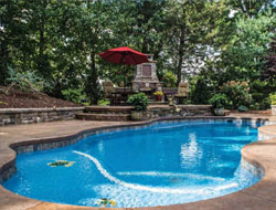 Freeform Shaped Swimming Pools Manufacturer in Ludhiana