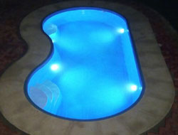 Bean Shaped Pool Manufacturer in Ludhiana