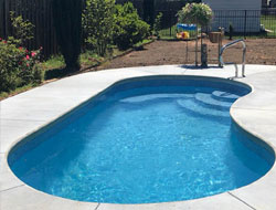 Kidney Shaped Swimming Pools Manufacturer in Ludhiana